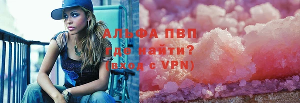 индика Козловка