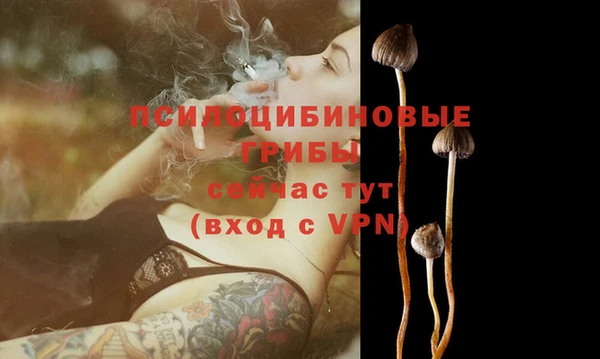 амф Кодинск