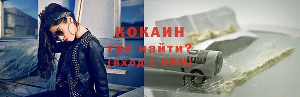 индика Козловка