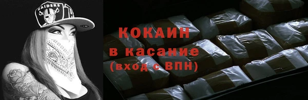 индика Козловка