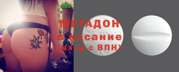индика Козловка