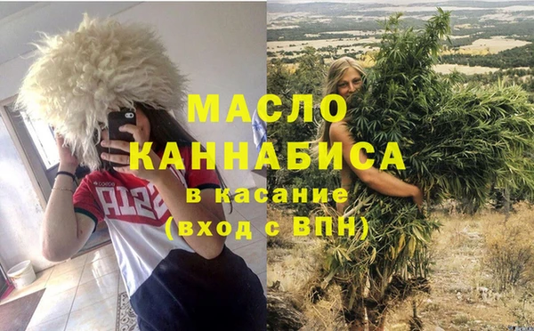 индика Козловка