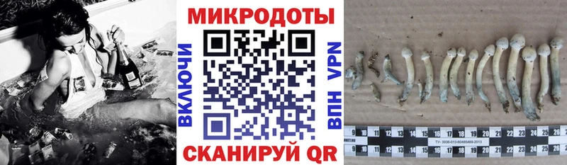 Купить  Белая Калитва  Псилоцибиновые грибы Psilocybe 